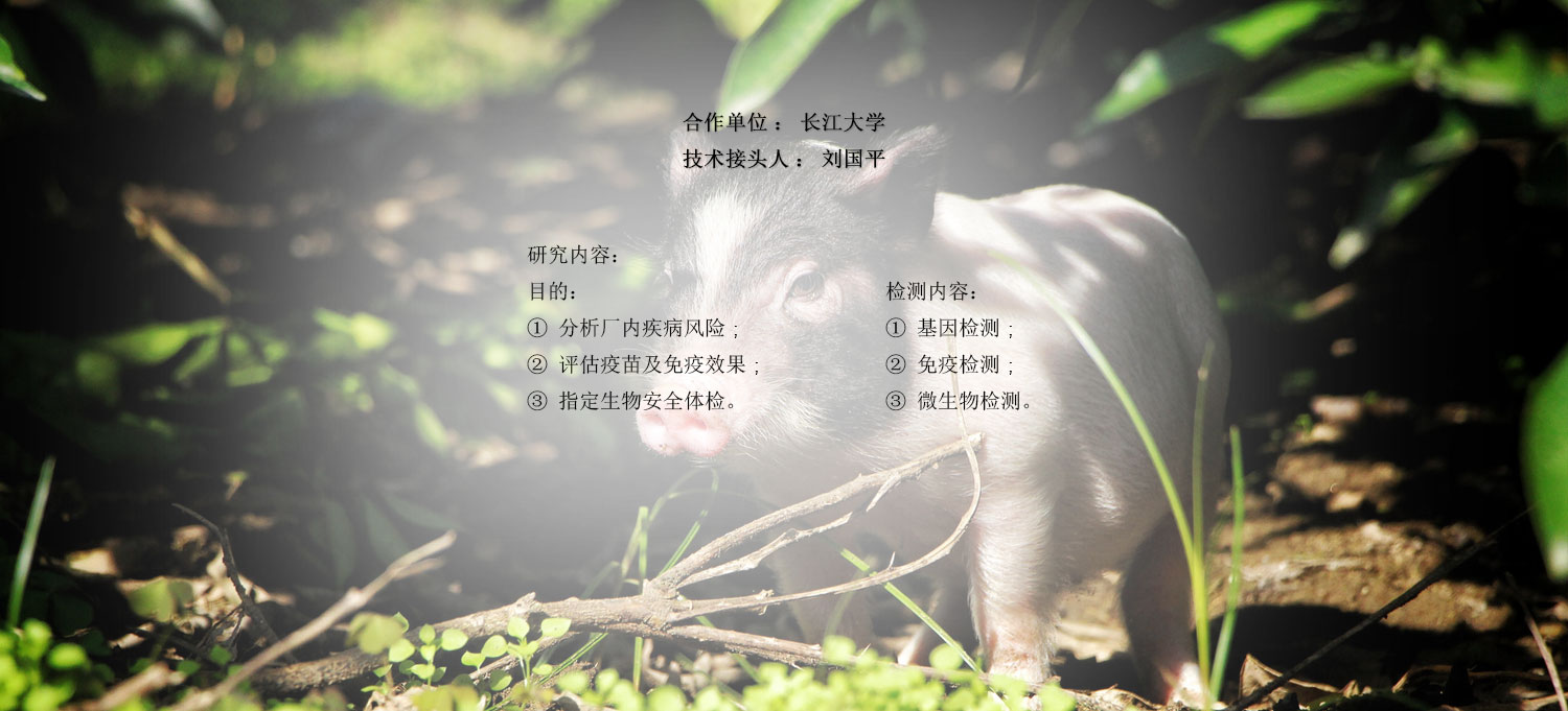 養(yang) 豬疾病防控研究中心